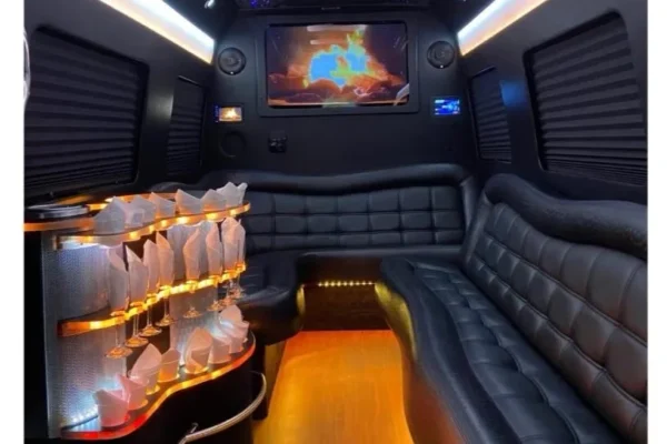 12 passengers limo van-1