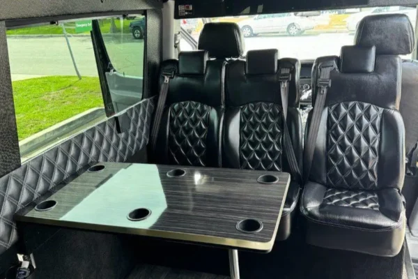 14 passengers sprinter van executive style